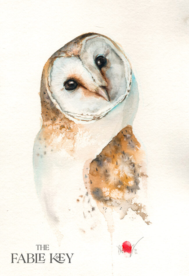 Sold Original Watercolour Barn Owl Painting The Fable Key