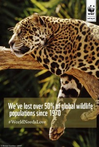 WWF Image Endangered Species