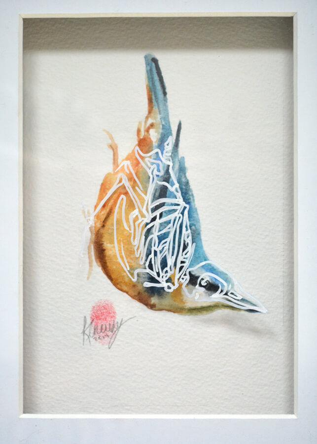 Nuthatch Painting