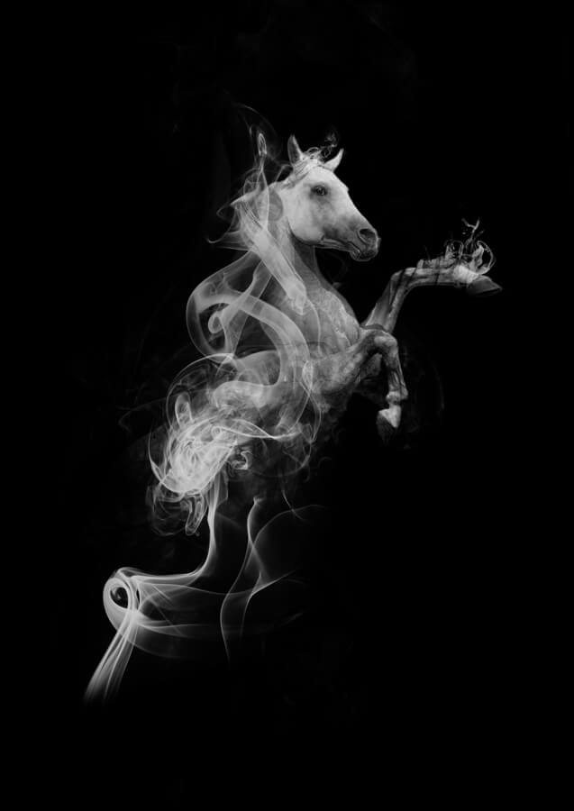 Smoke Arab Horse Tshirt