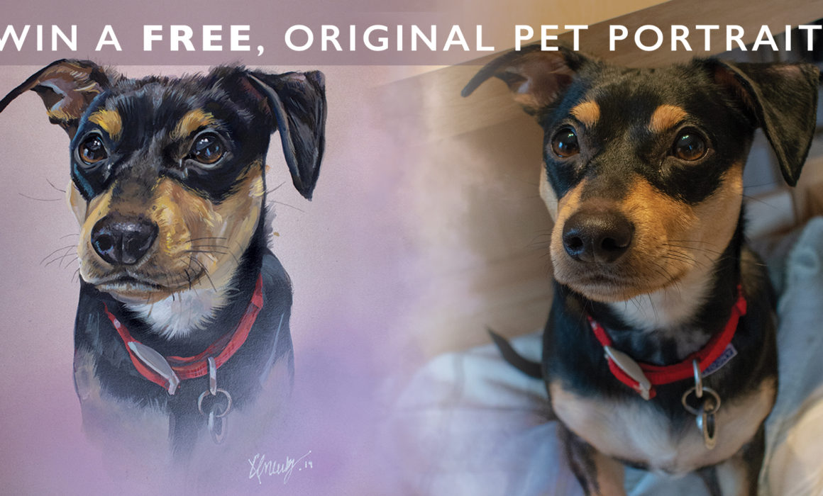 Win a free pet portrait painting