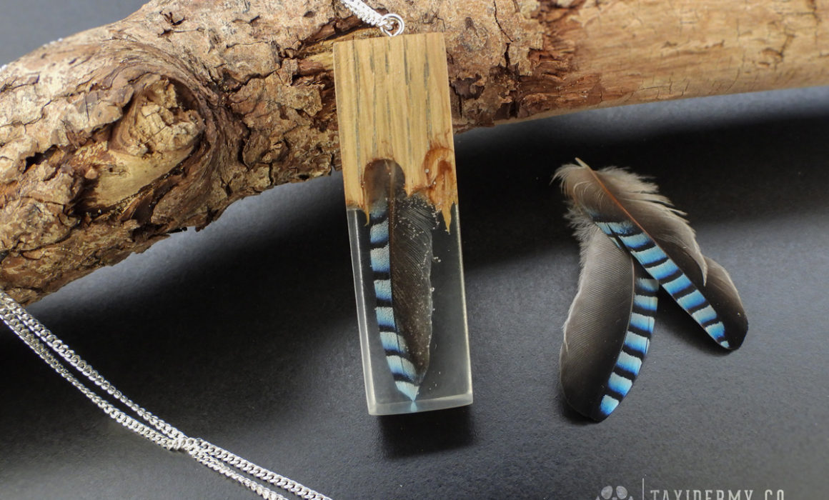 Real feather resin pendant necklace
