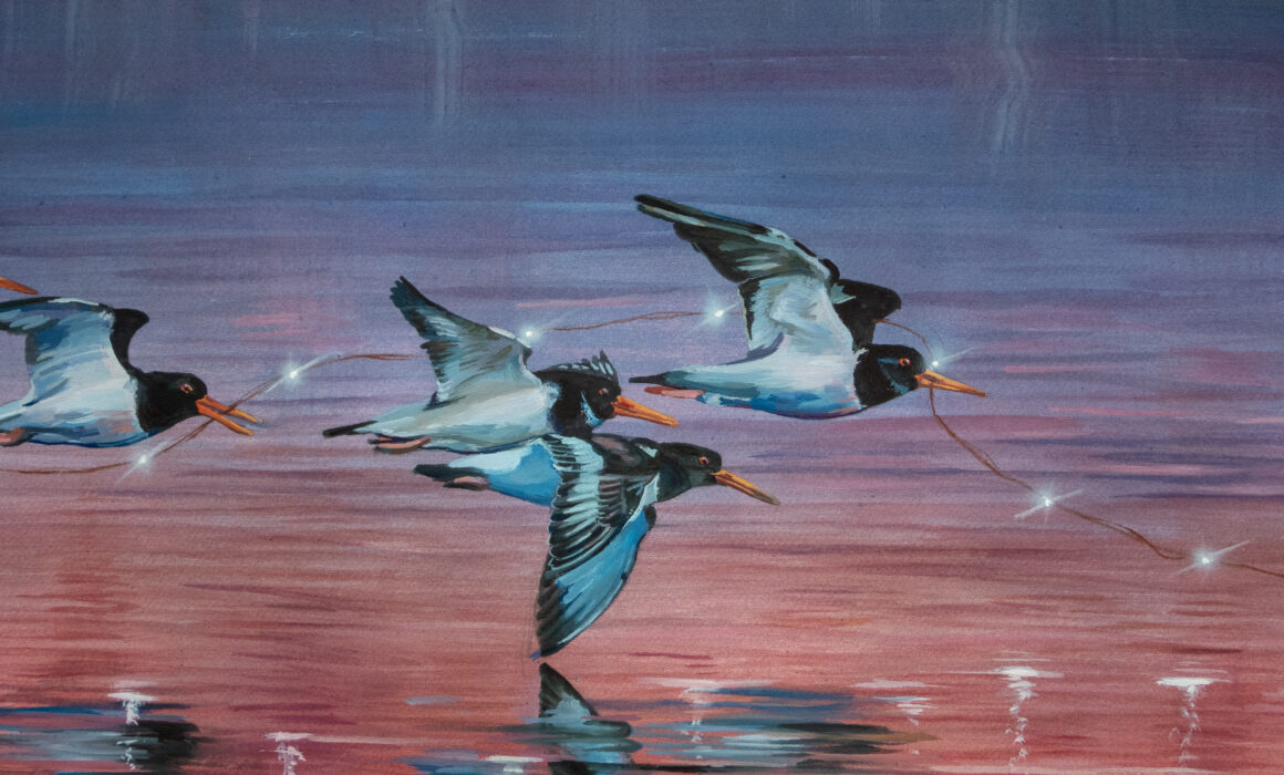 Oyster Catcher Bird Painting