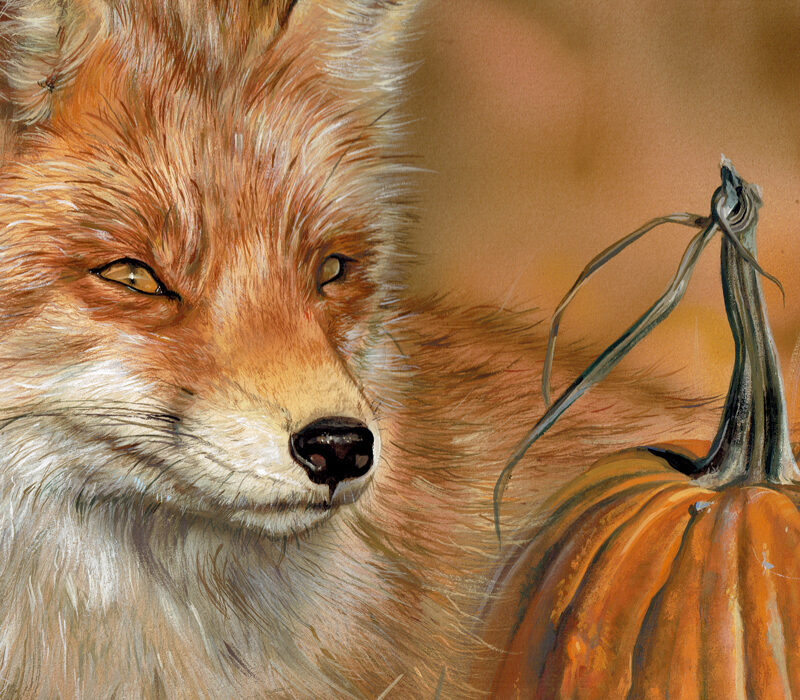 Red Fox Wildlife Painting