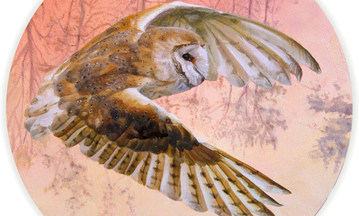 Barn Owl Oil Painting