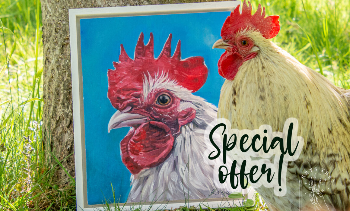 Pet Portrait Painting Special Offer