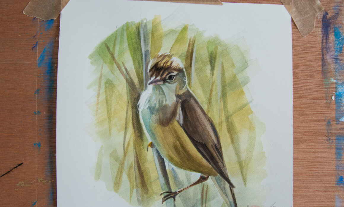 Reed Warbler Painting