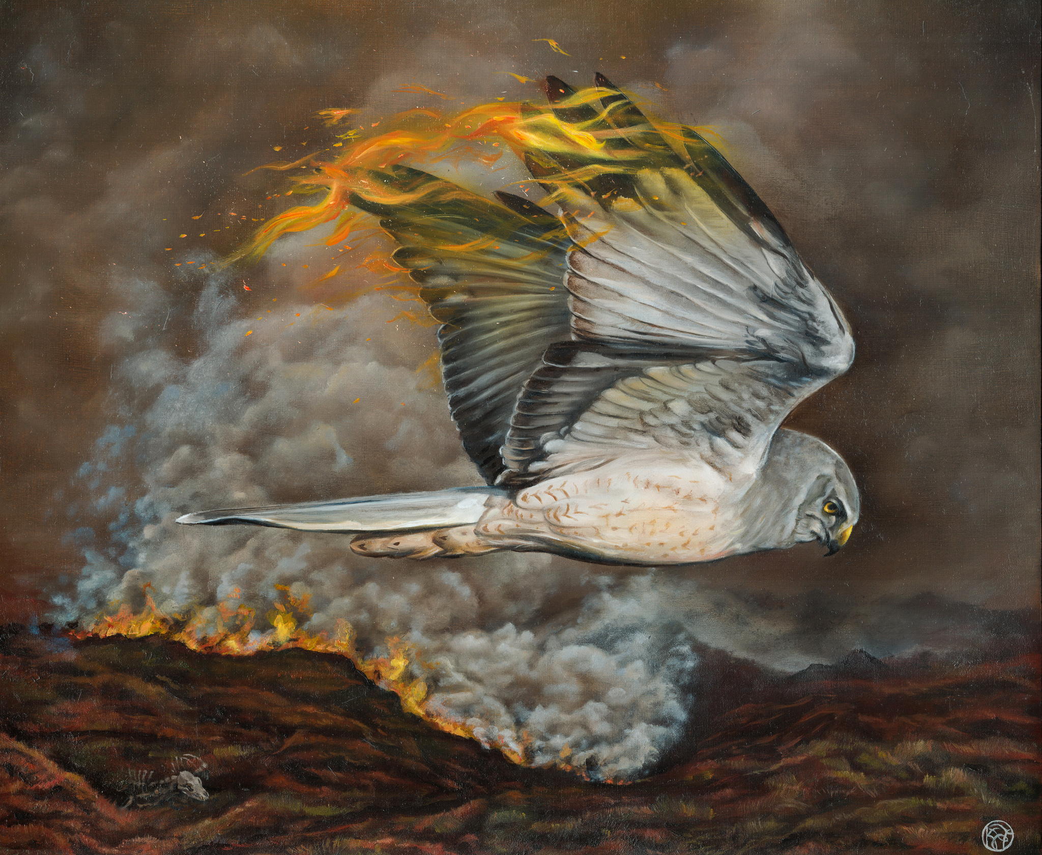 'Moor or Less' Hen Harrier Oil Painting demonstrating the threats driven grouse shooting has on the environment, by British Wildlife Artist Krysten Newby