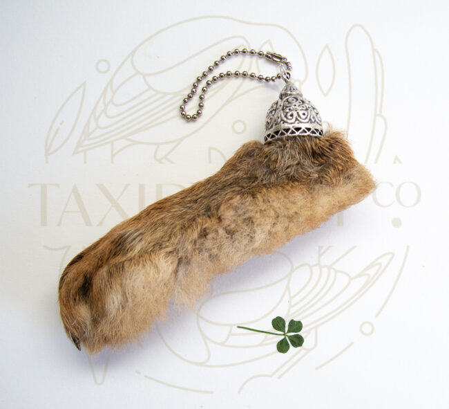 Lucky Rabbits foot for sale