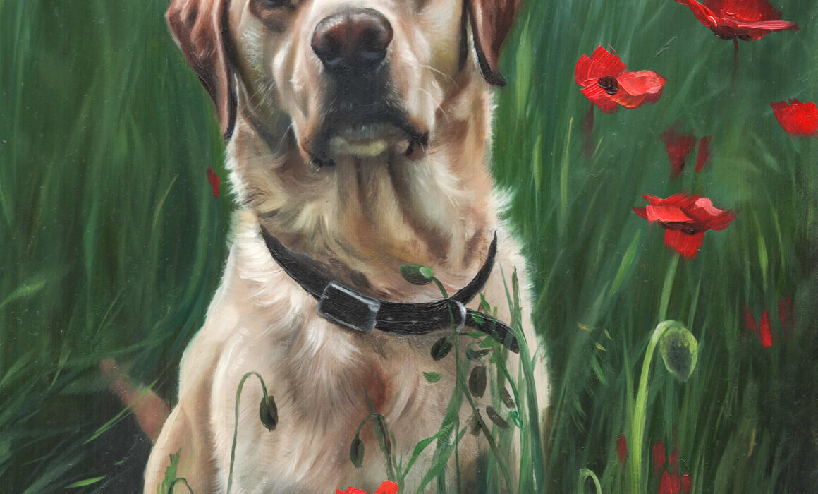 Painted Pet Labrador in Oils