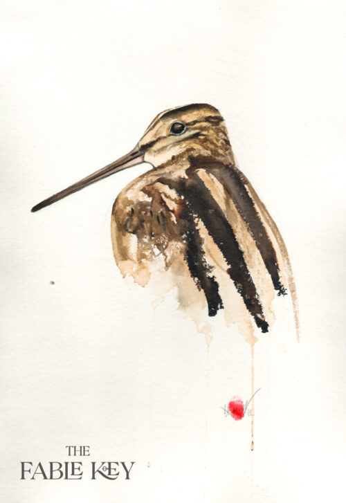 Watercolour Snipe Bird Painting For Sale