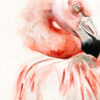 Details of original watercolour flamingo painting by wildlife artist, Krysten Newby