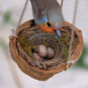 Handmade Robin Miniature on Walnut Art Nest