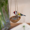 Handmade polymer clay European Goldfinch Nest and Realistic Eggs in a walnut shell
