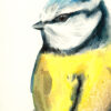 Original Watercolour Painting of British Bird Blue Tit