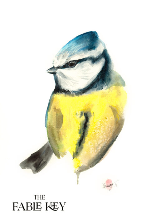 Original Watercolour Art Painting of British Bird Blue Tit