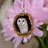 Miniature Barn Owl